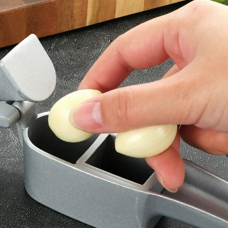 2 In 1 Multifunctional Garlic Press Garlic Slicer Zinc Alloy Manual Kitchen Gadget and Accessories